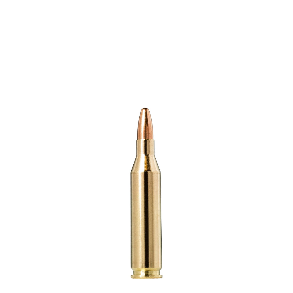 243 Win 95gr Jaktmatch FMJ