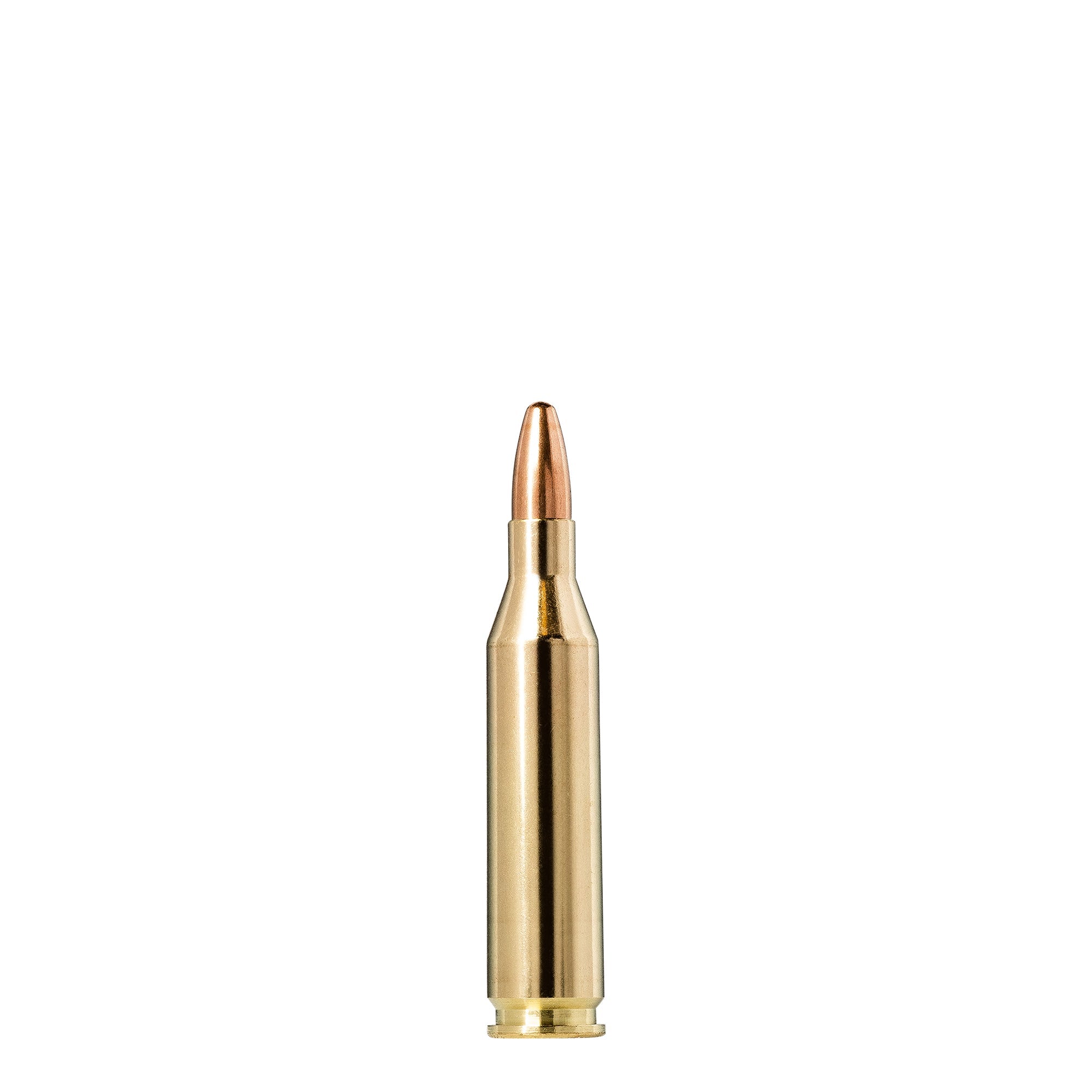 243 Win 95gr Jaktmatch FMJ