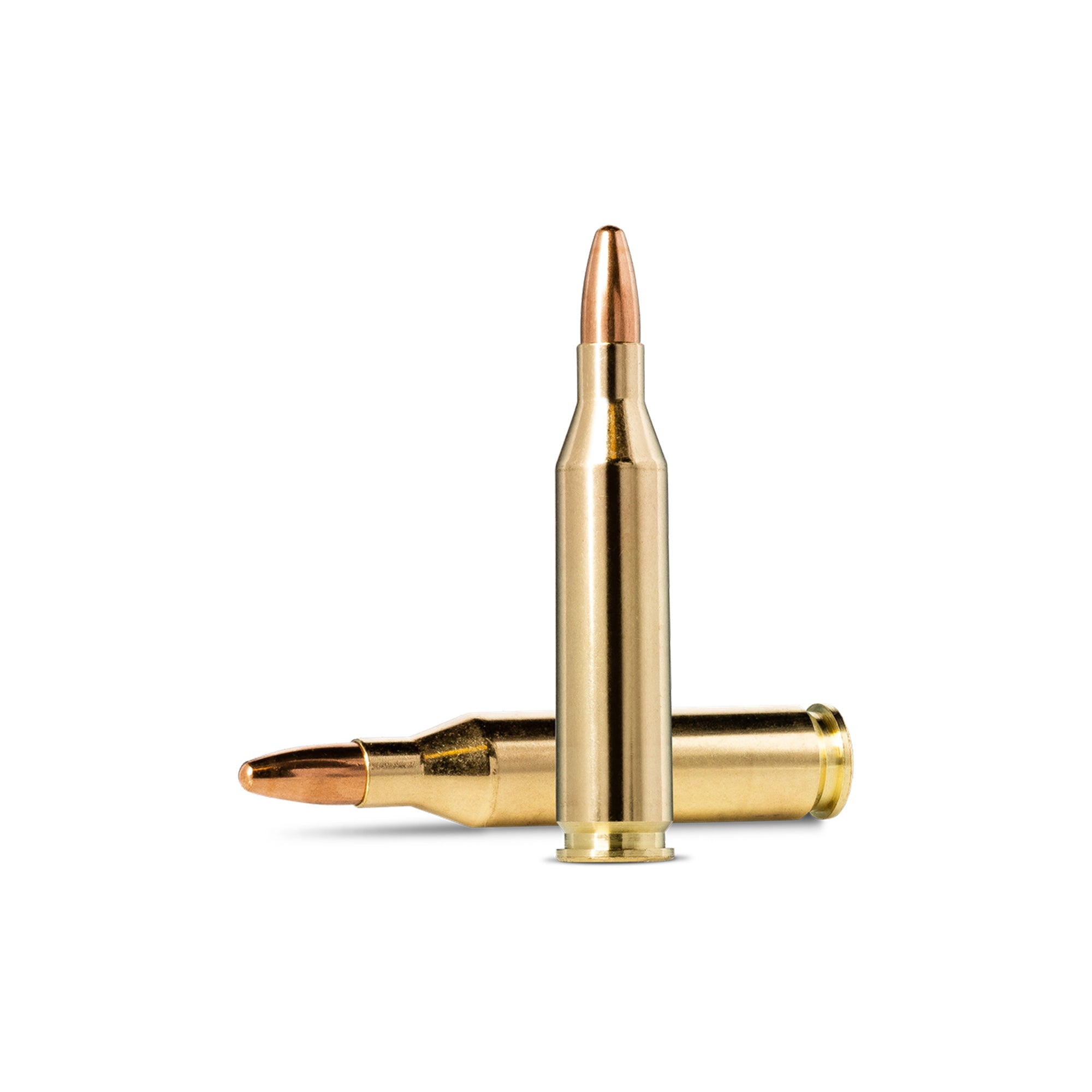 243 Win 95gr Jaktmatch FMJ