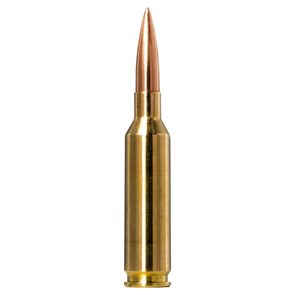 6mm Cm 107gr Golden Target