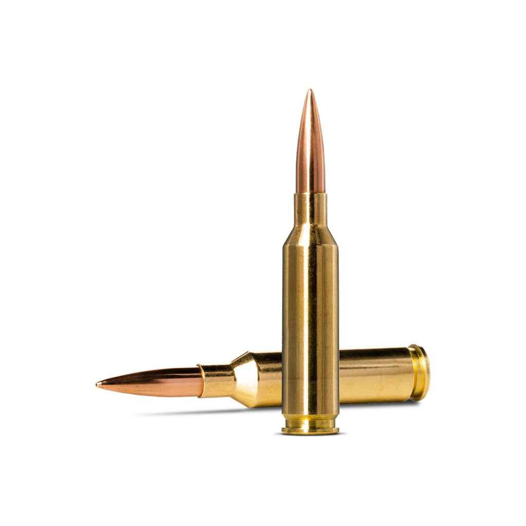 6mm Cm 107gr Golden Target