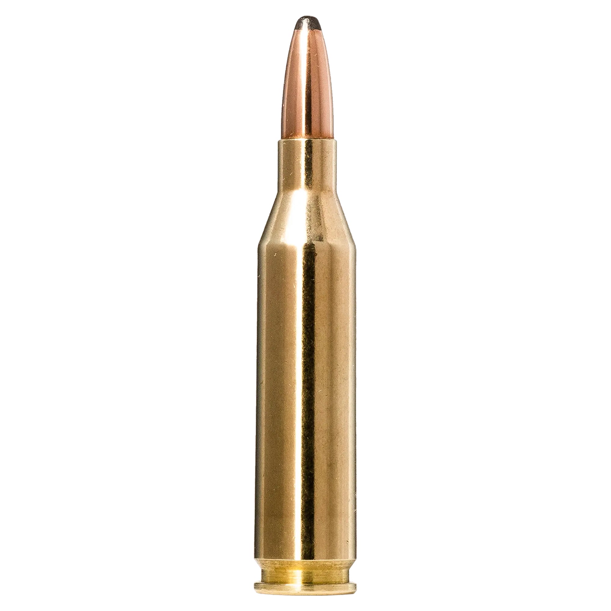 243 Win 100gr Whitetail SP