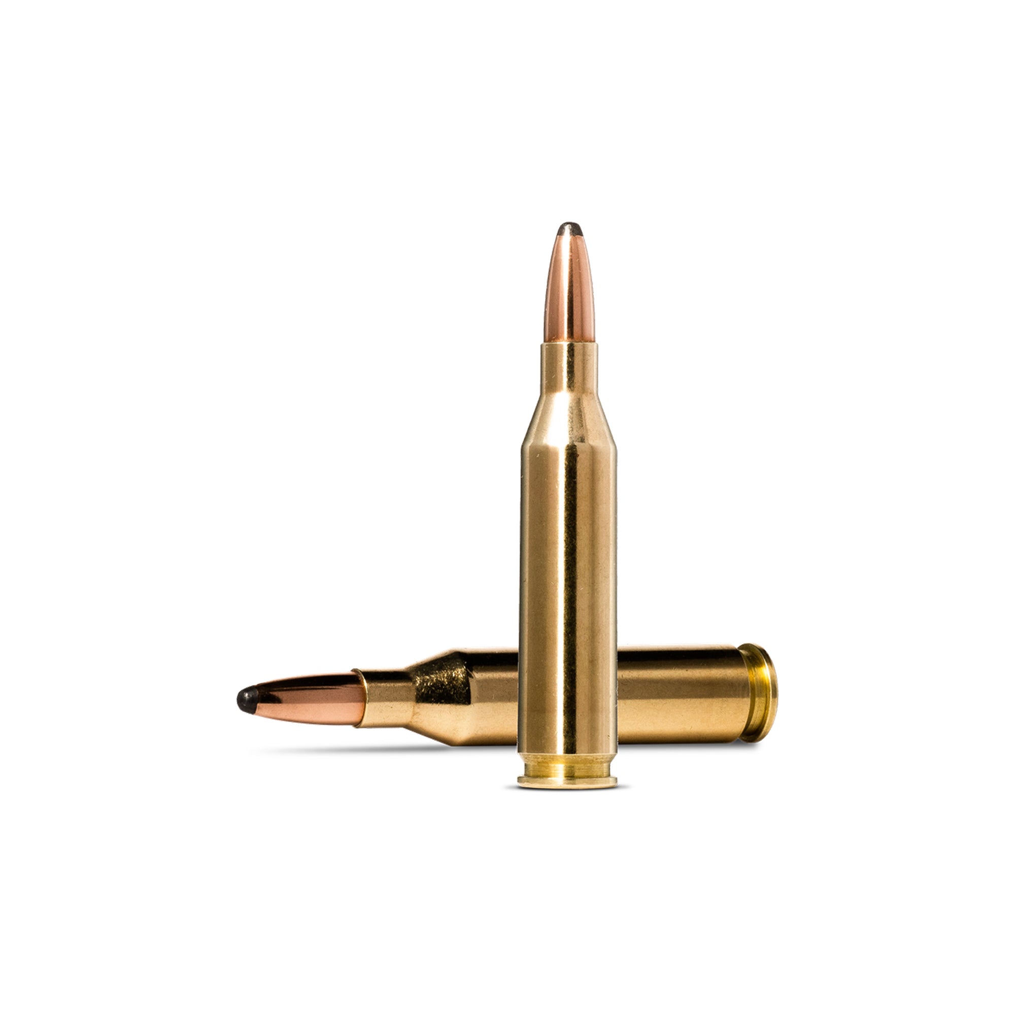 243 Win 100gr Whitetail SP