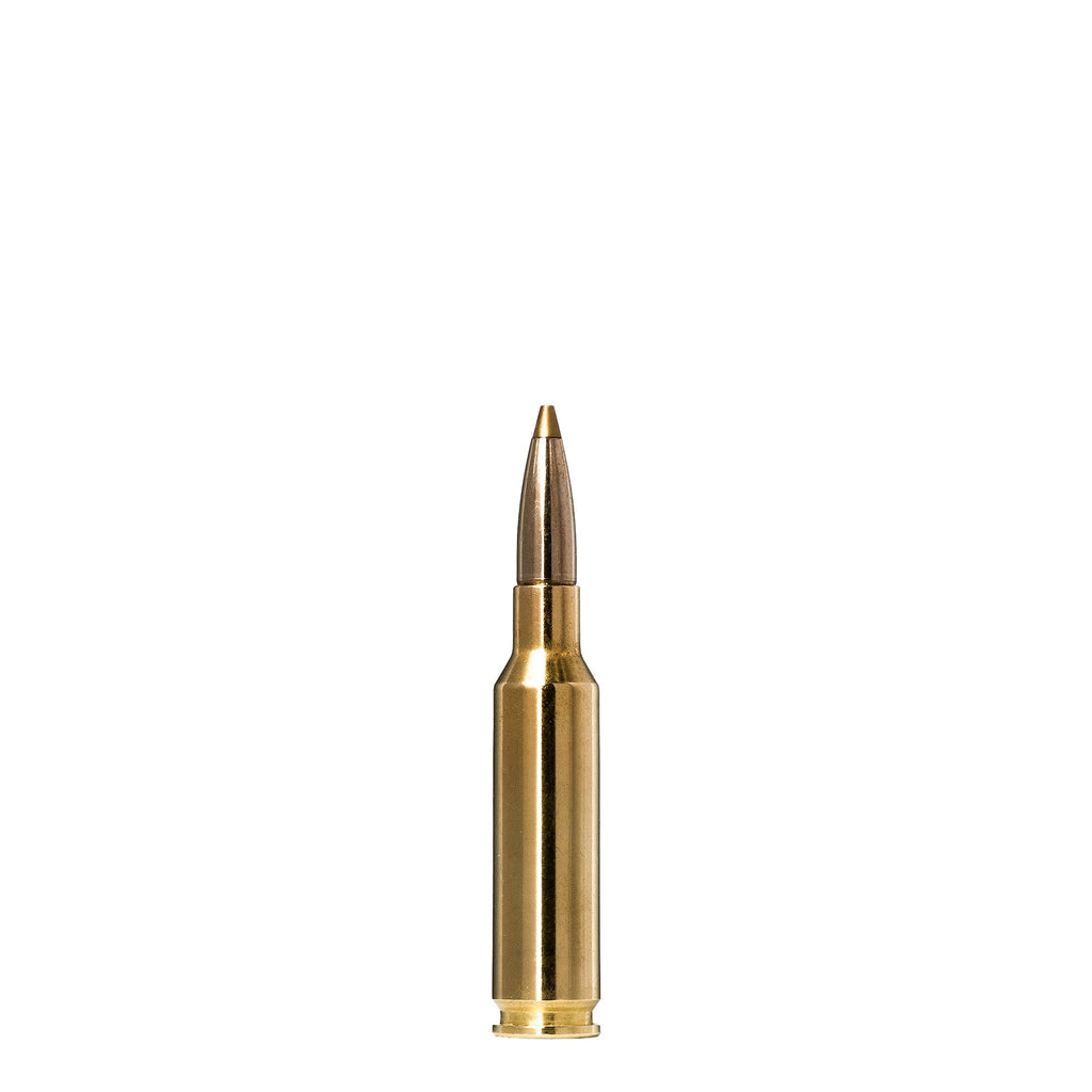 6.5 Creedmoor 93gr Evostrike