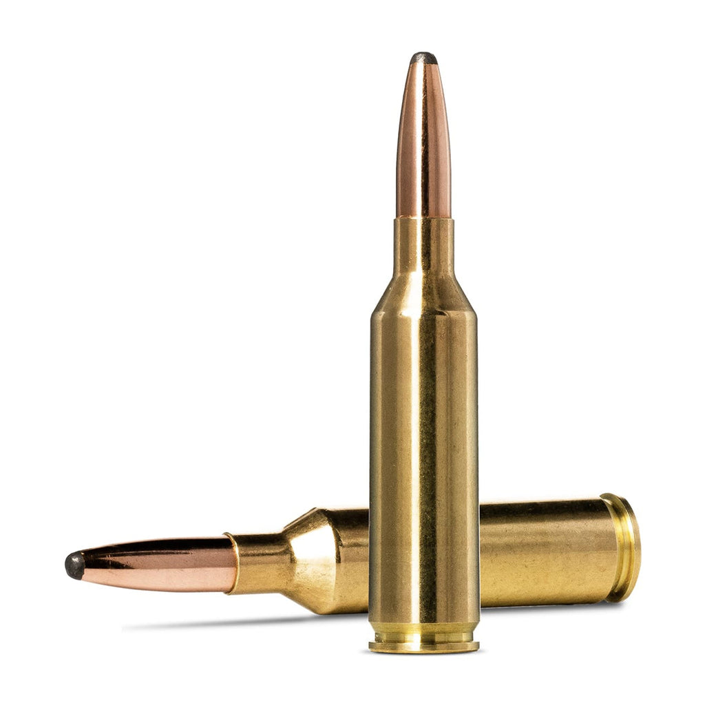 6.5 Prc 140gr Whitetail SP