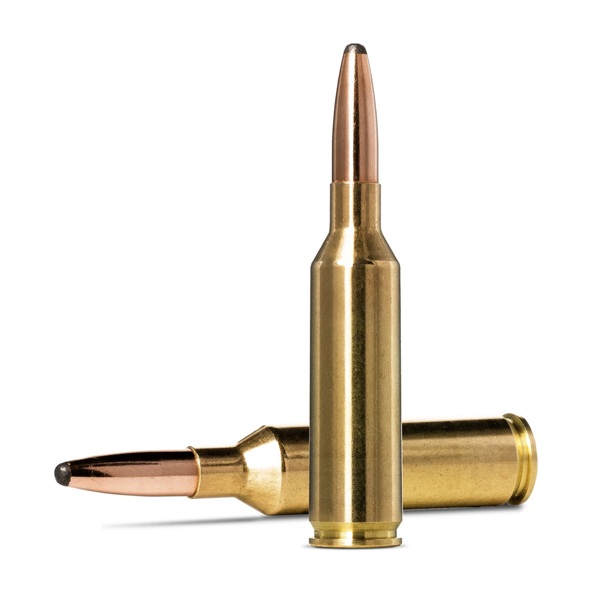 6.5 Prc 140gr Whitetail SP