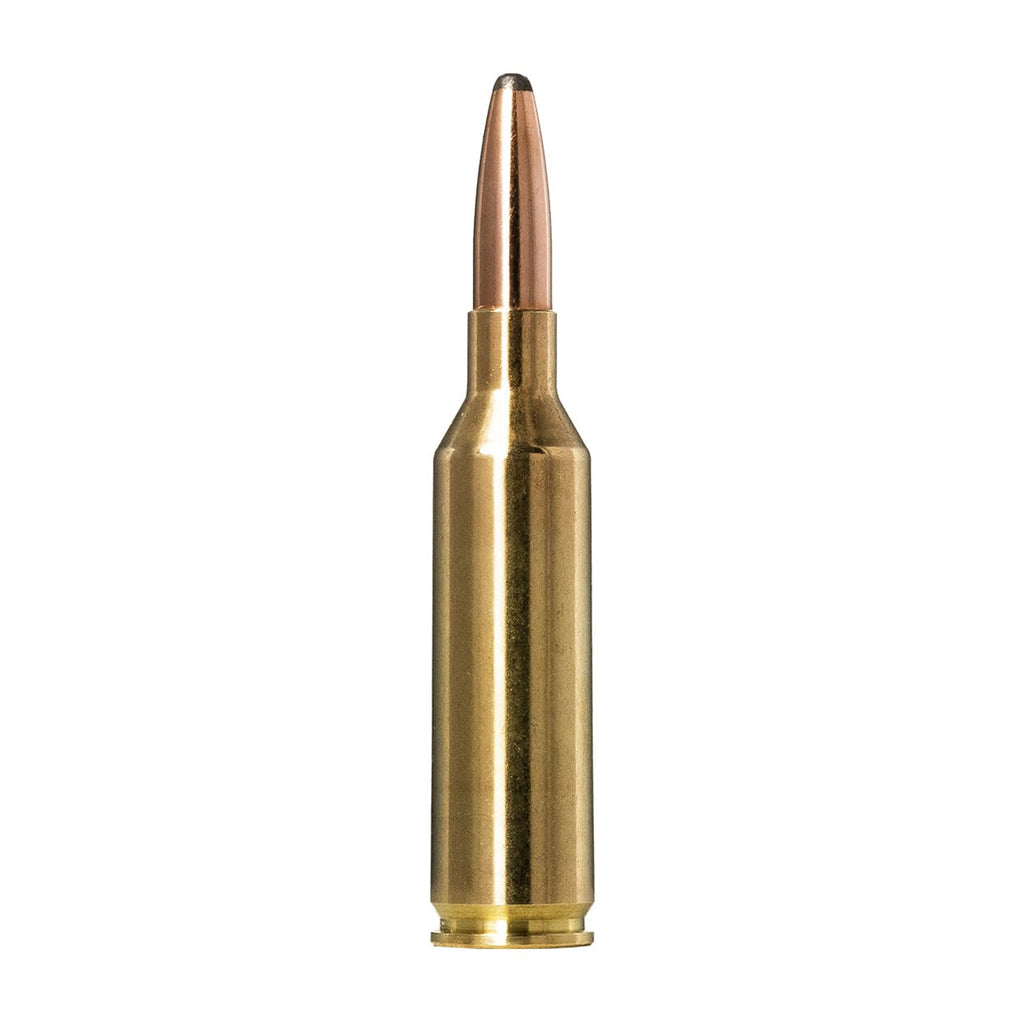 6.5 Prc 140gr Whitetail SP