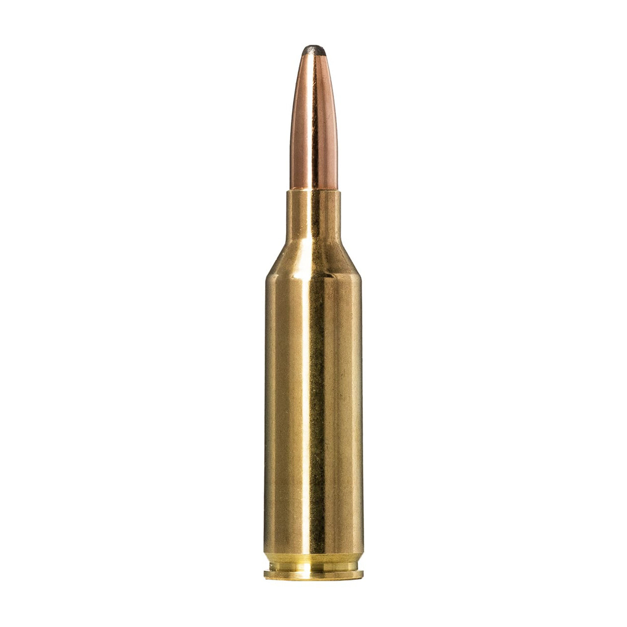 6.5 Prc 140gr Whitetail SP