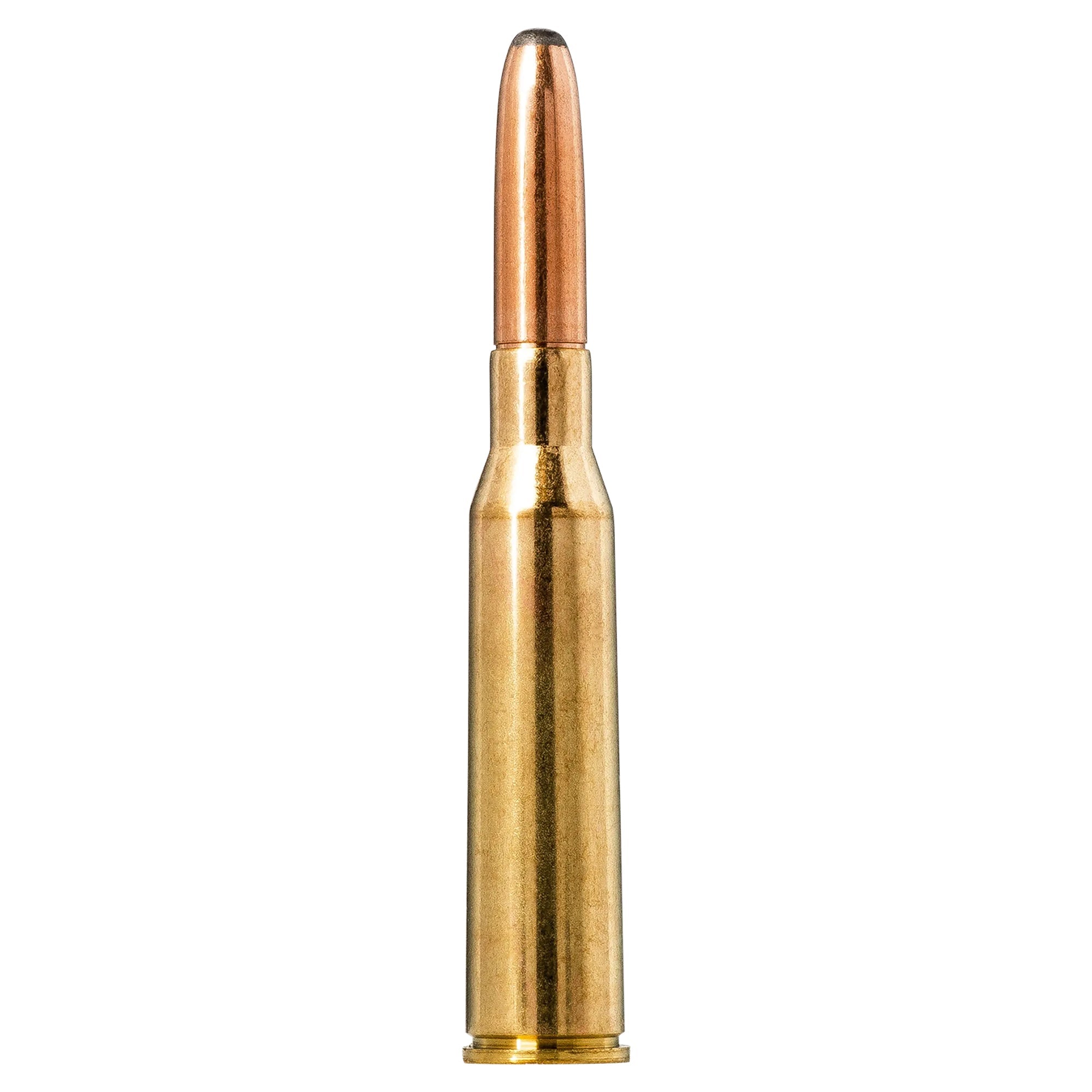6.5 Jap 156gr Whitetail SP