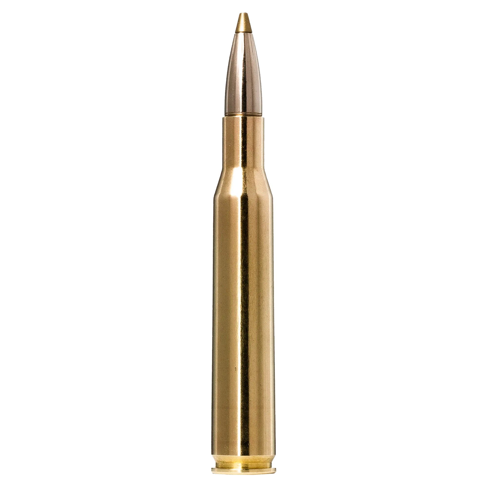270 Win 96gr Evostrike
