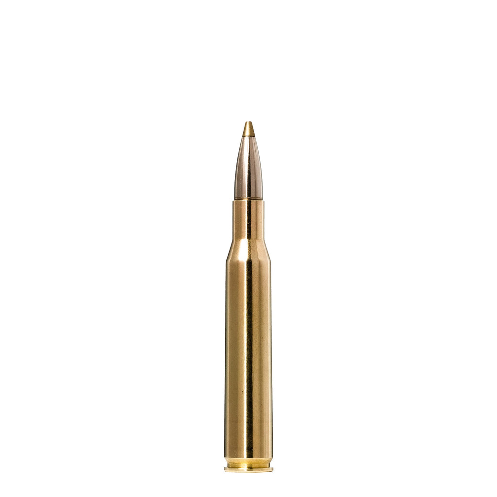 270 Win 96gr Evostrike