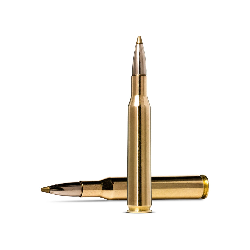 270 Win 96gr Evostrike