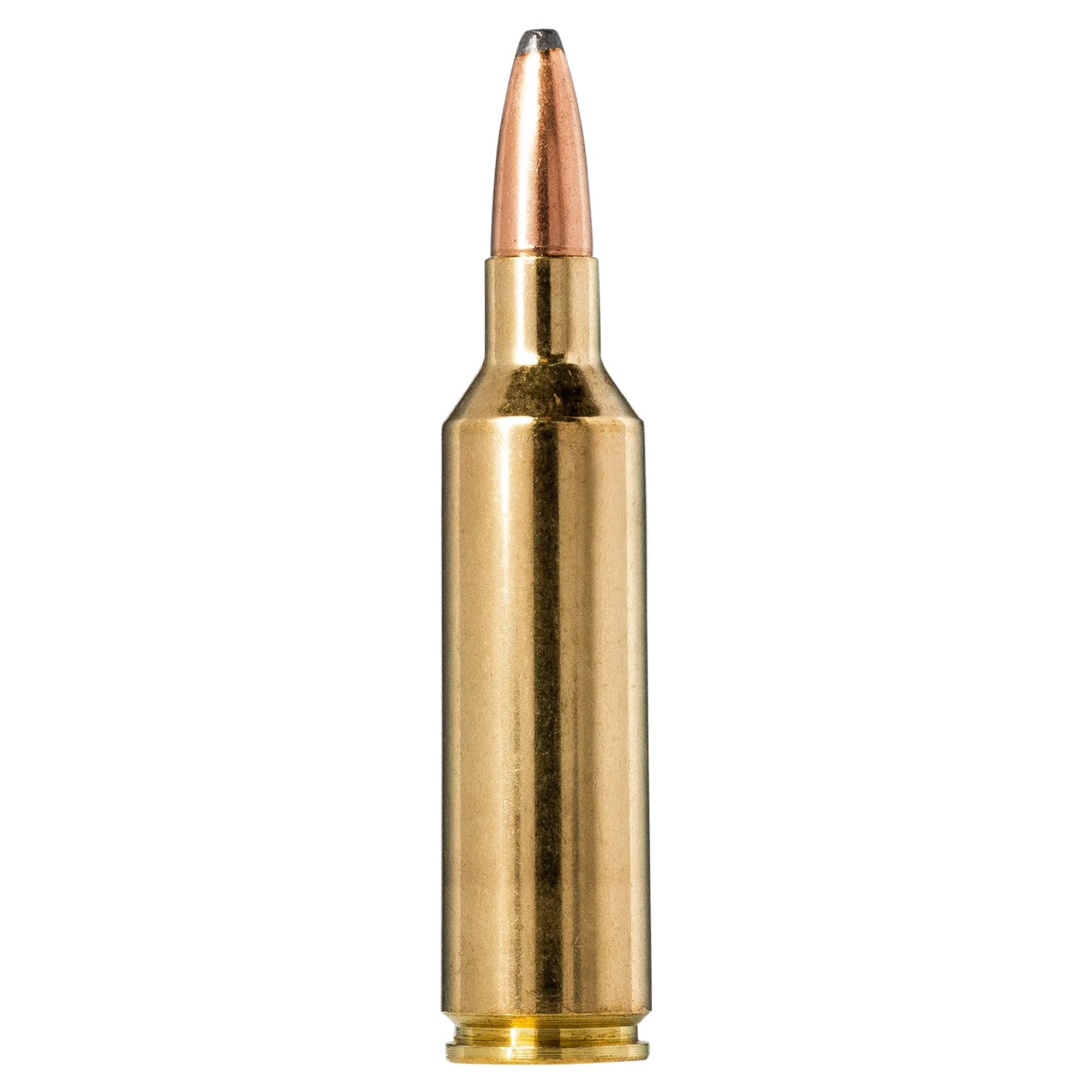 270 Wsm 150gr Oryx