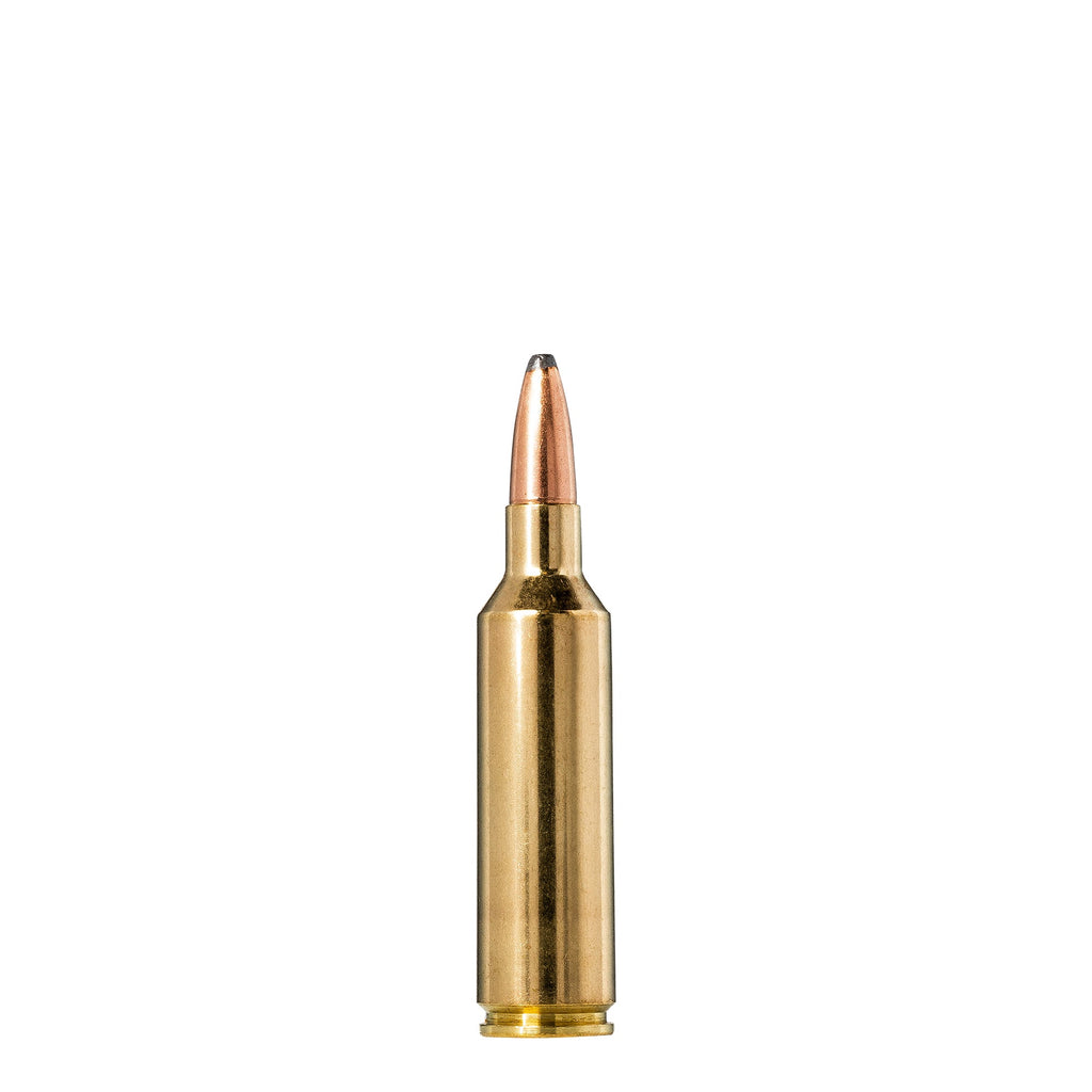 270 Wsm 150gr Oryx