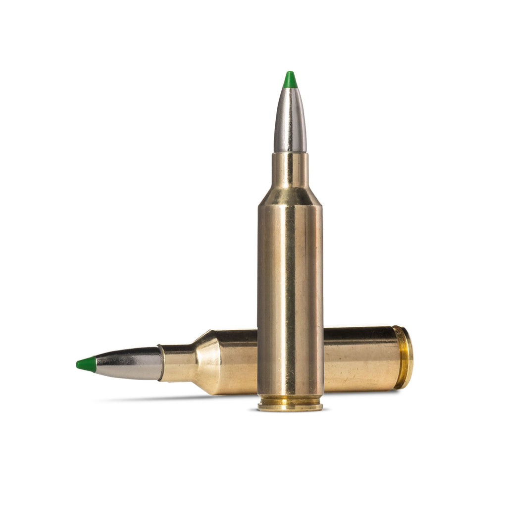 270 Wsm 130gr Ecostrike