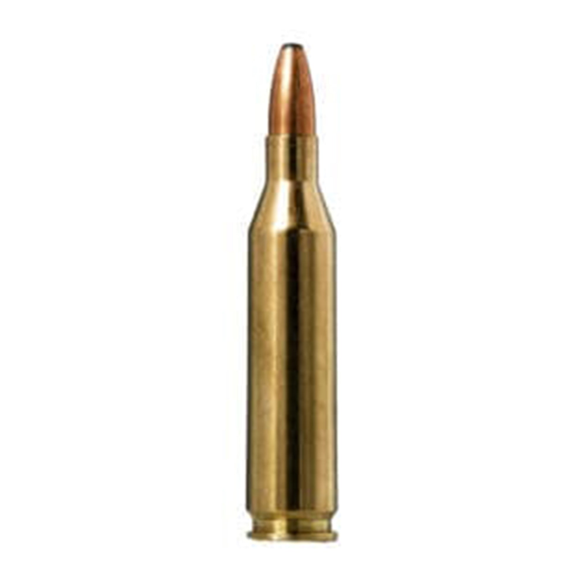 7mm Rem Mag 170gr Oryx