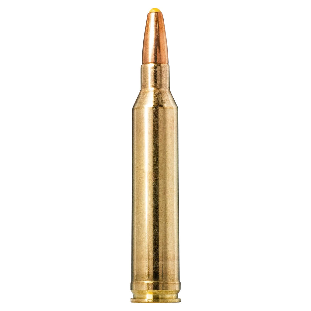 7mm Rem Mag 170gr Plastic Point