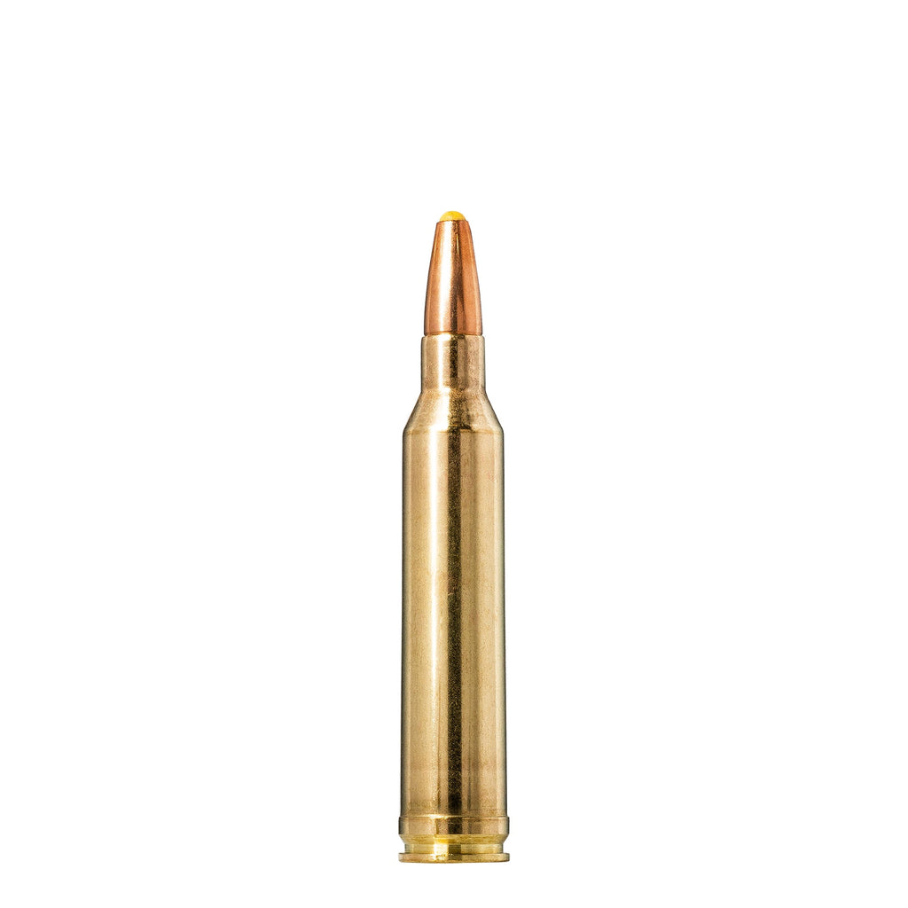 7mm Rem Mag 170gr Plastic Point