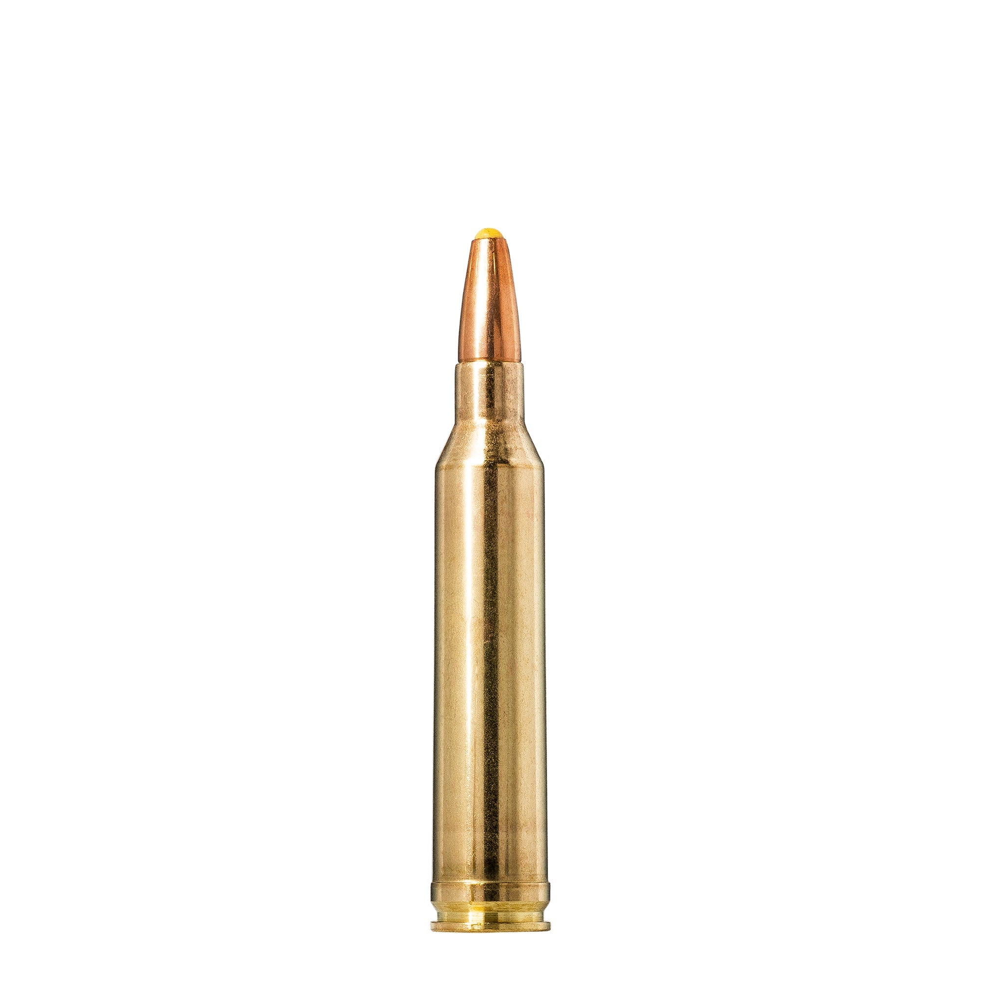 7mm Rem Mag 170gr Plastic Point