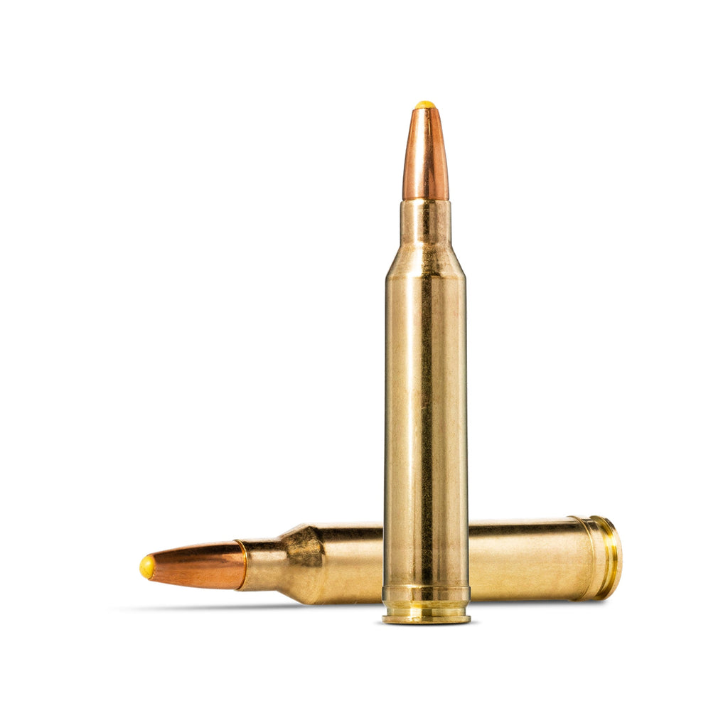 7mm Rem Mag 170gr Plastic Point