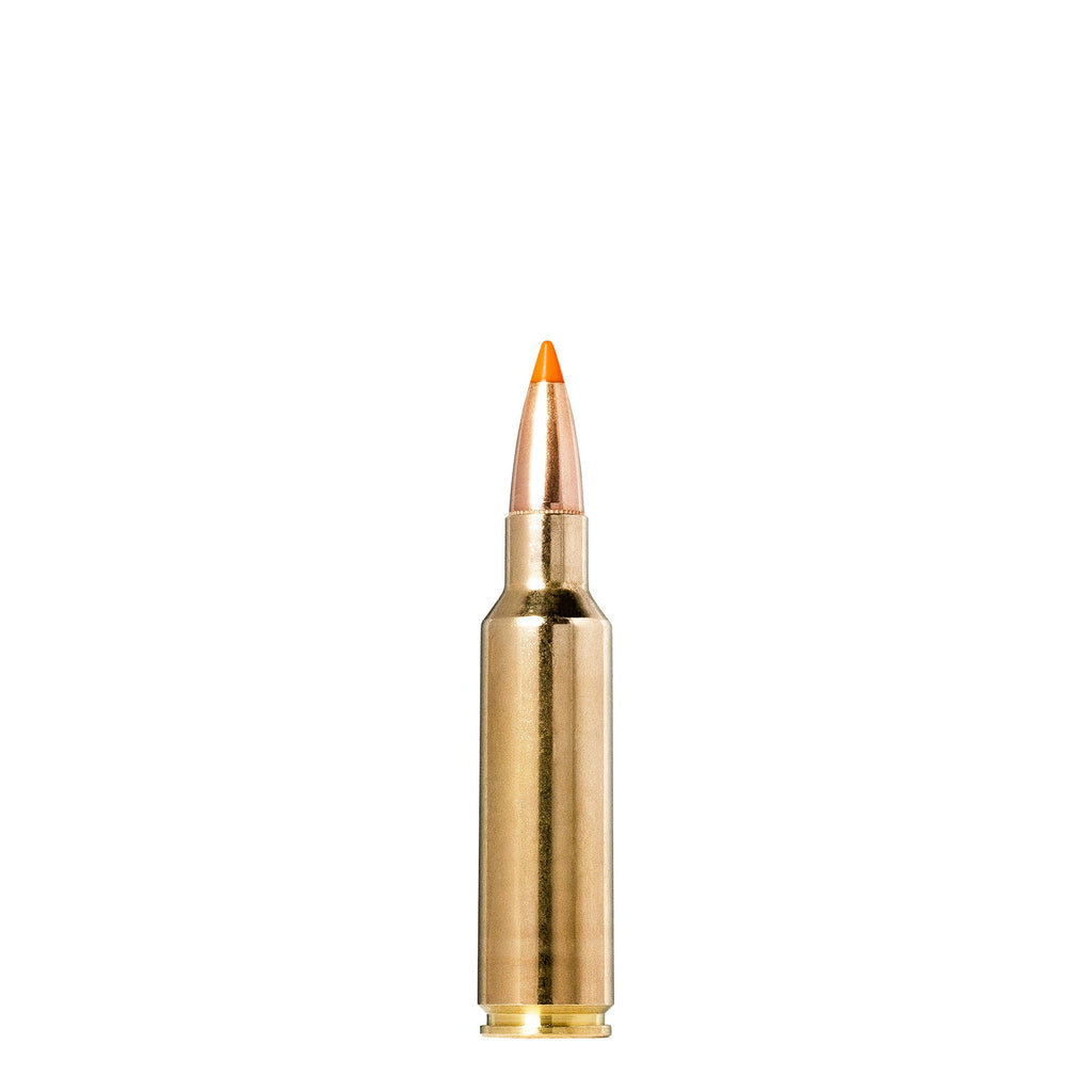 300 Wsm 170gr Tipstrike