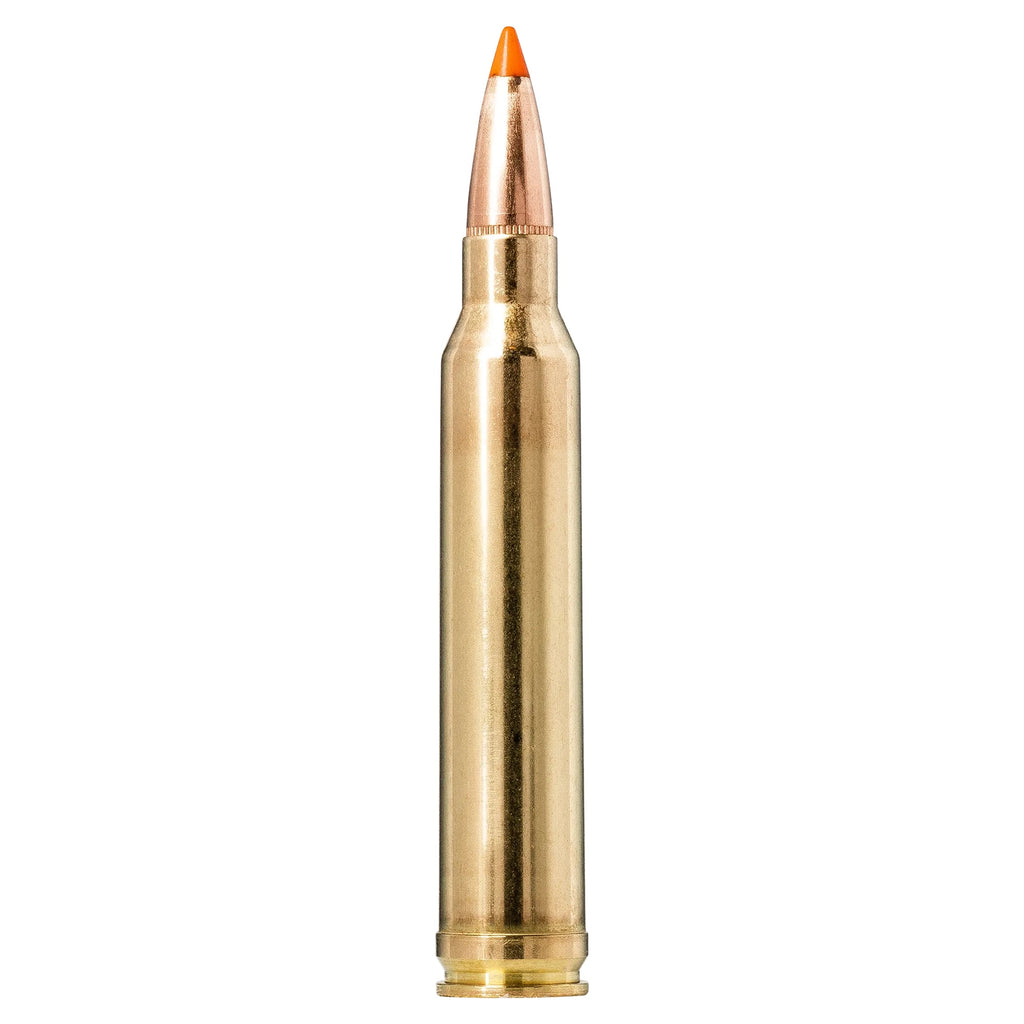 300 Win Mag 170gr Tipstrike
