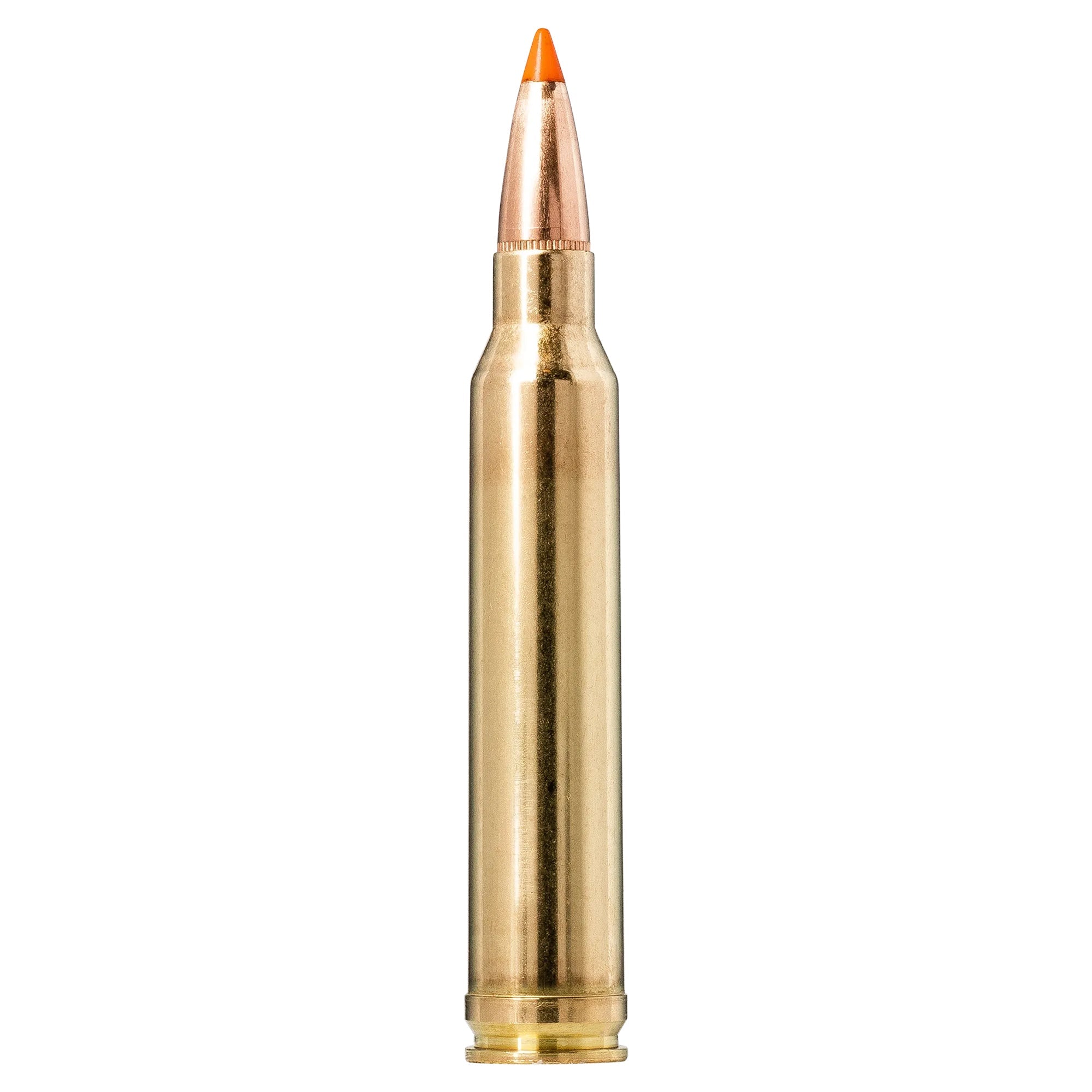 300 Win Mag 170gr Tipstrike