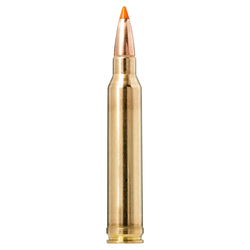 300 Win Mag 170gr Tipstrike