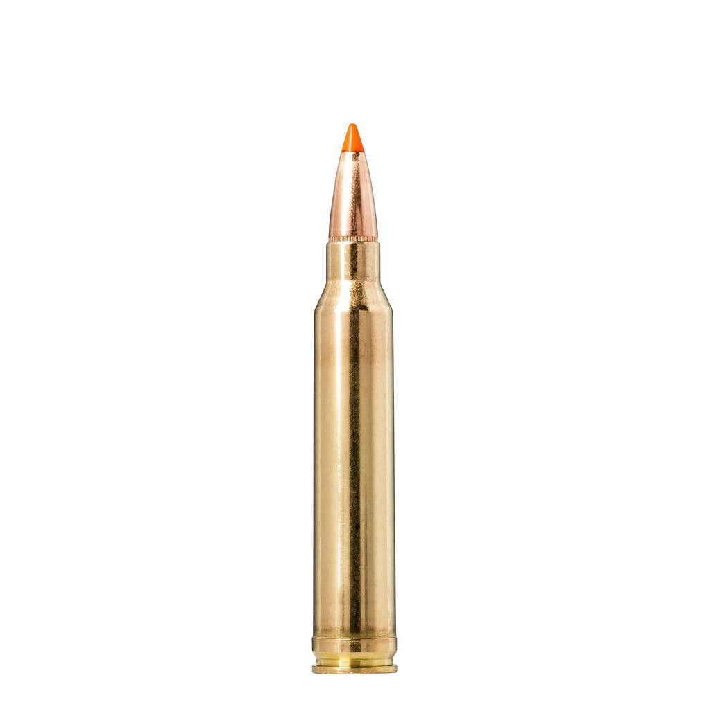 300 Win Mag 170gr Tipstrike