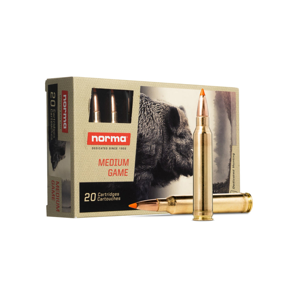 300 Win Mag 170gr Tipstrike