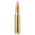 308 Win 180gr Plastic Point
