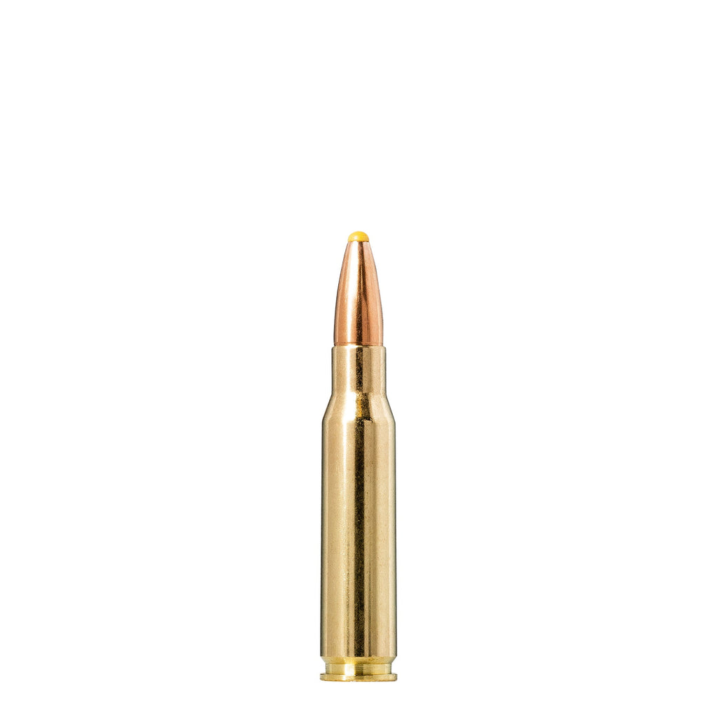 308 Win 180gr Plastic Point