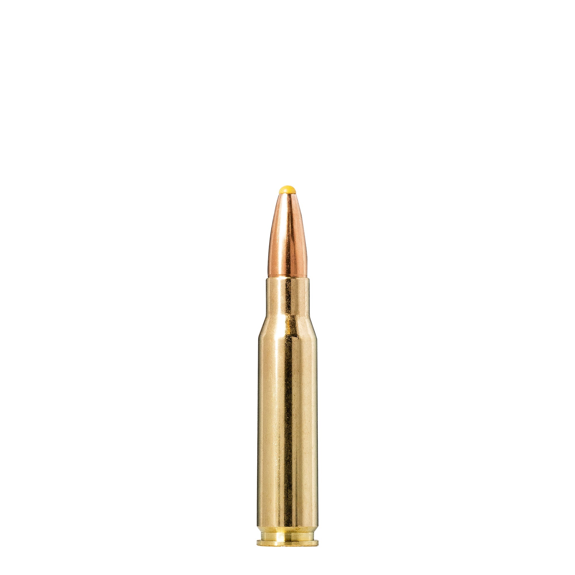 308 Win 180gr Plastic Point