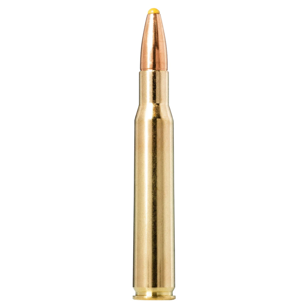 30-06 SPRG 180gr Plastic Point