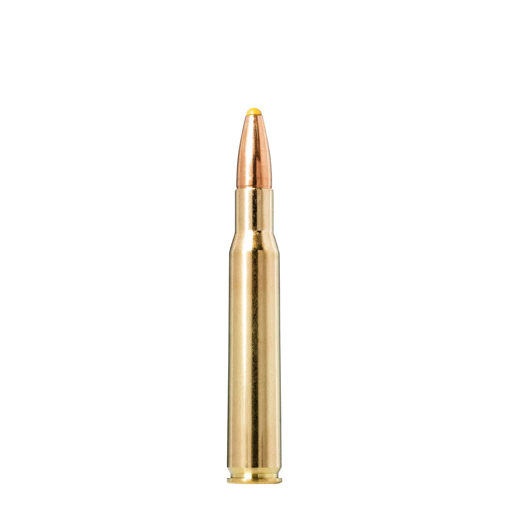 30-06 SPRG 180gr Plastic Point