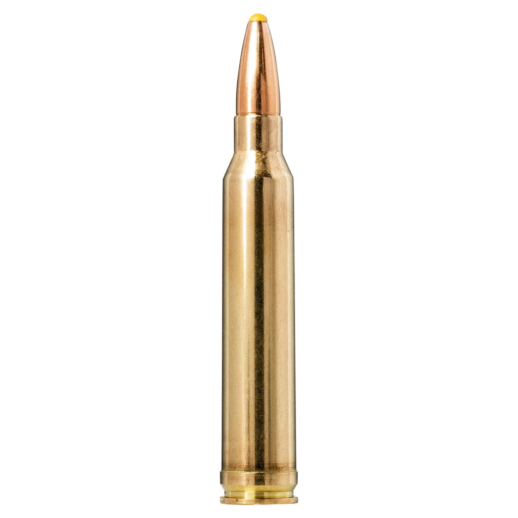 300 Win Mag 180gr Plastic Point