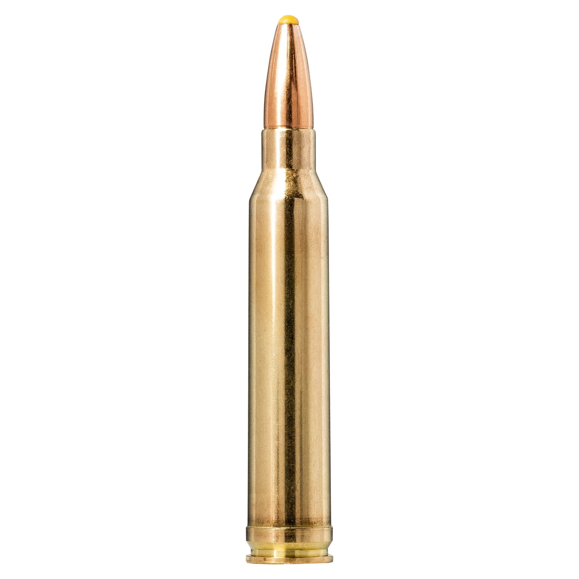 300 Win Mag 180gr Plastic Point