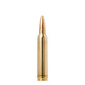 300 Win Mag 180gr Plastic Point