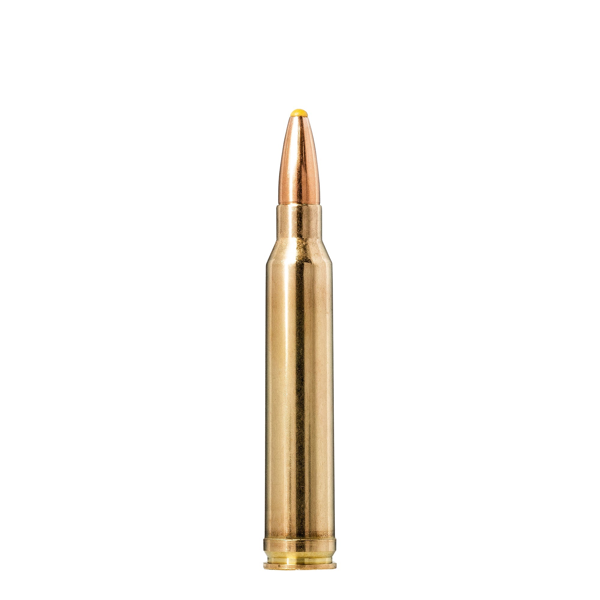 300 Win Mag 180gr Plastic Point