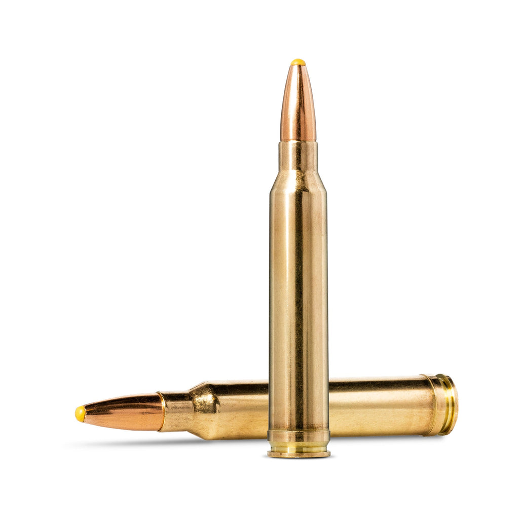 300 Win Mag 180gr Plastic Point