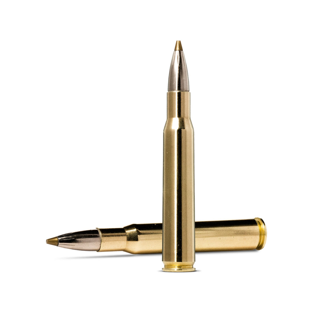 30-06 SPRG 139gr Evostrike