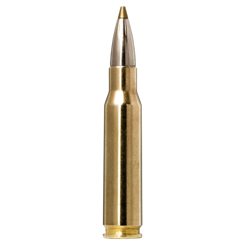 308 Win 139gr Evostrike