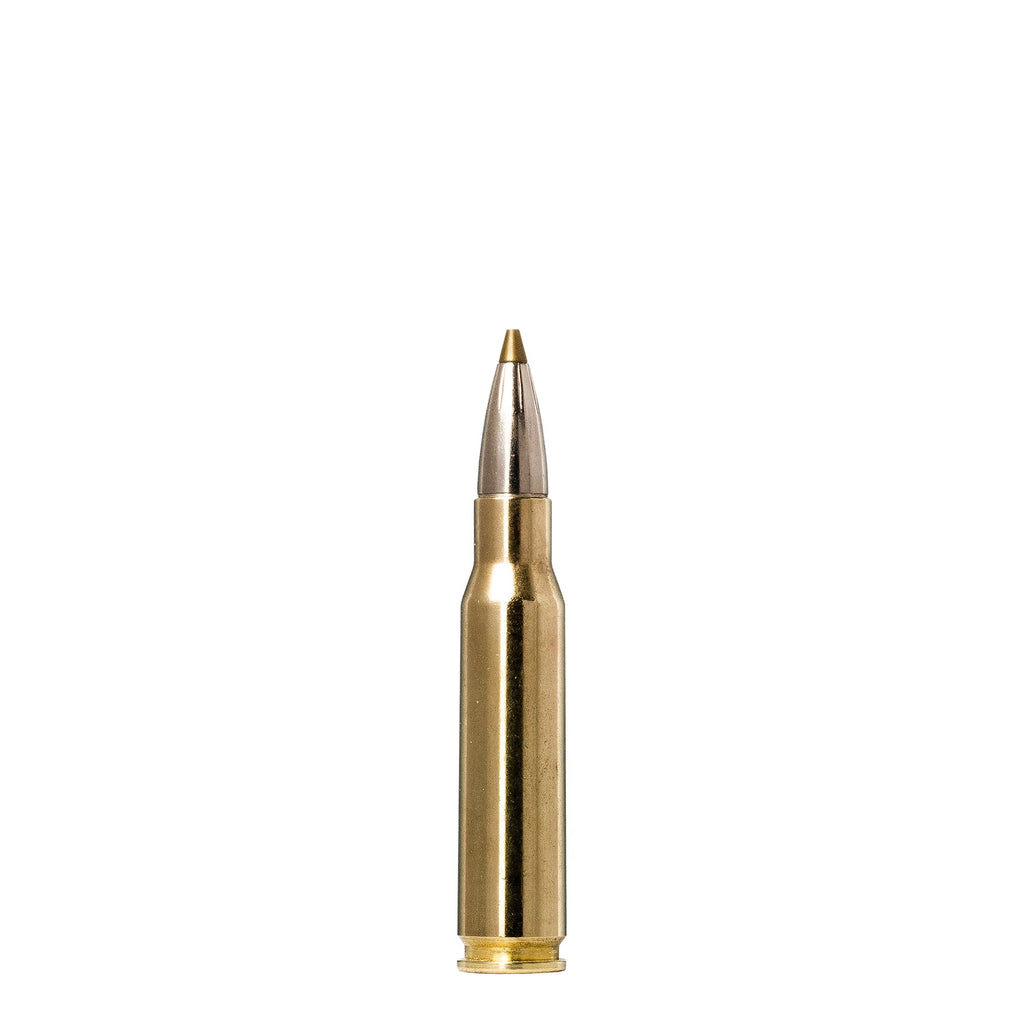 308 Win 139gr Evostrike