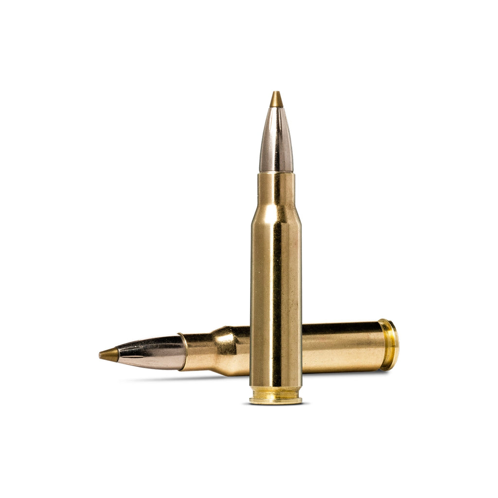 308 Win 139gr Evostrike