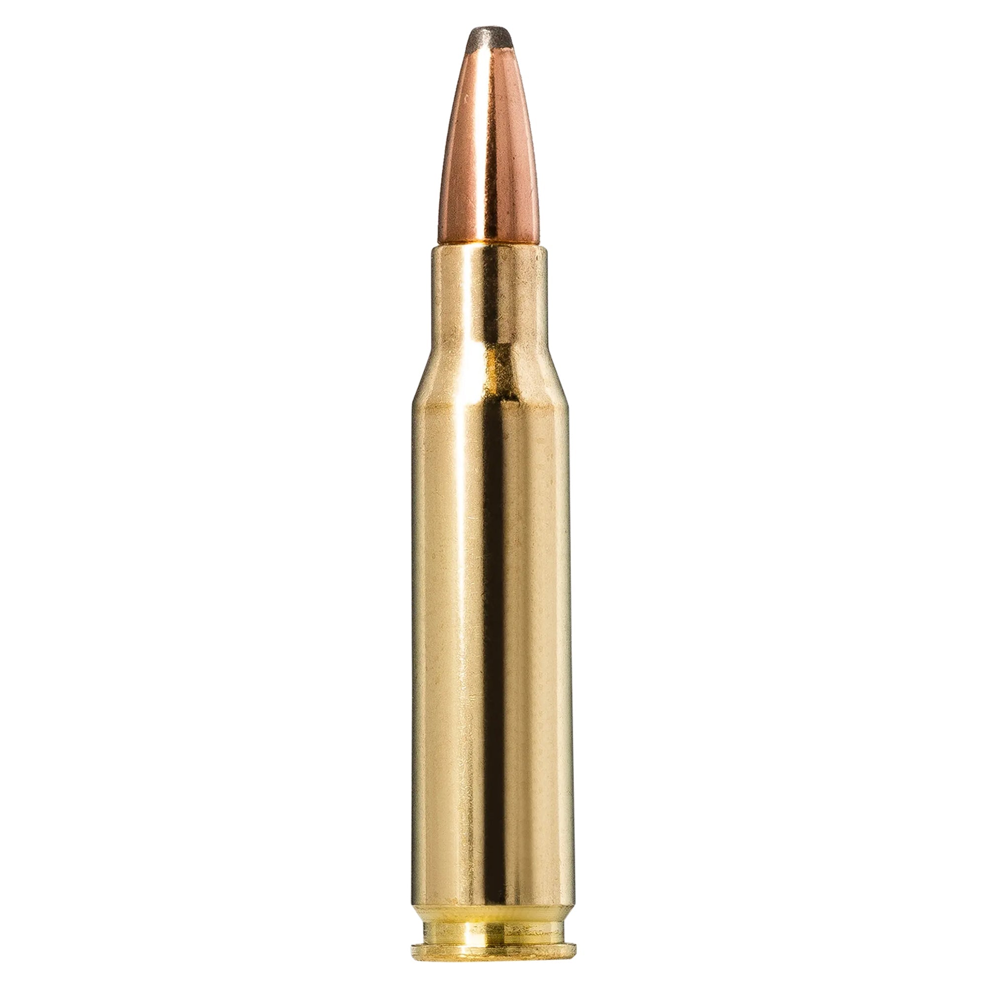 308 Win 150gr Whitetail SP