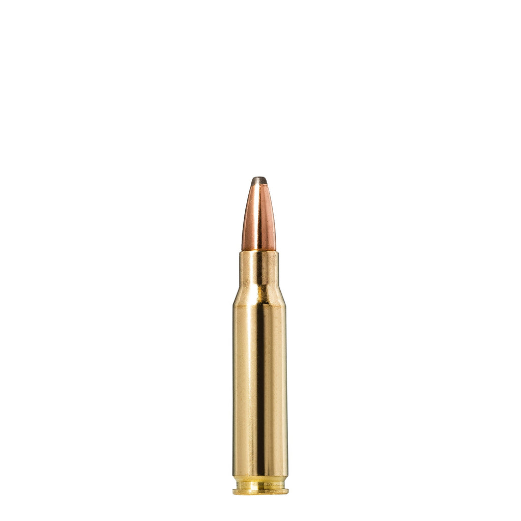 308 Win 150gr Whitetail SP