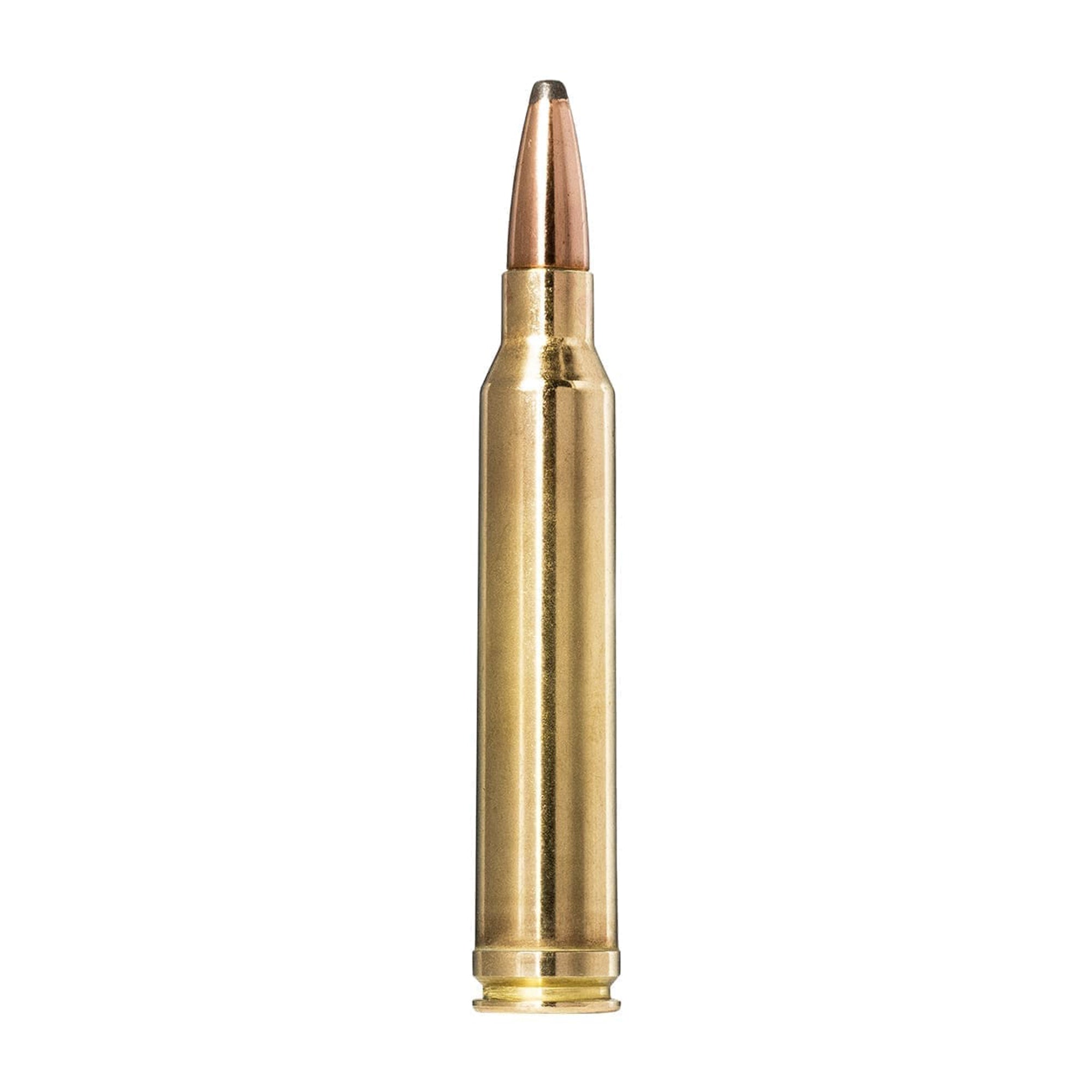 300 Win Mag 150gr Whitetail SP