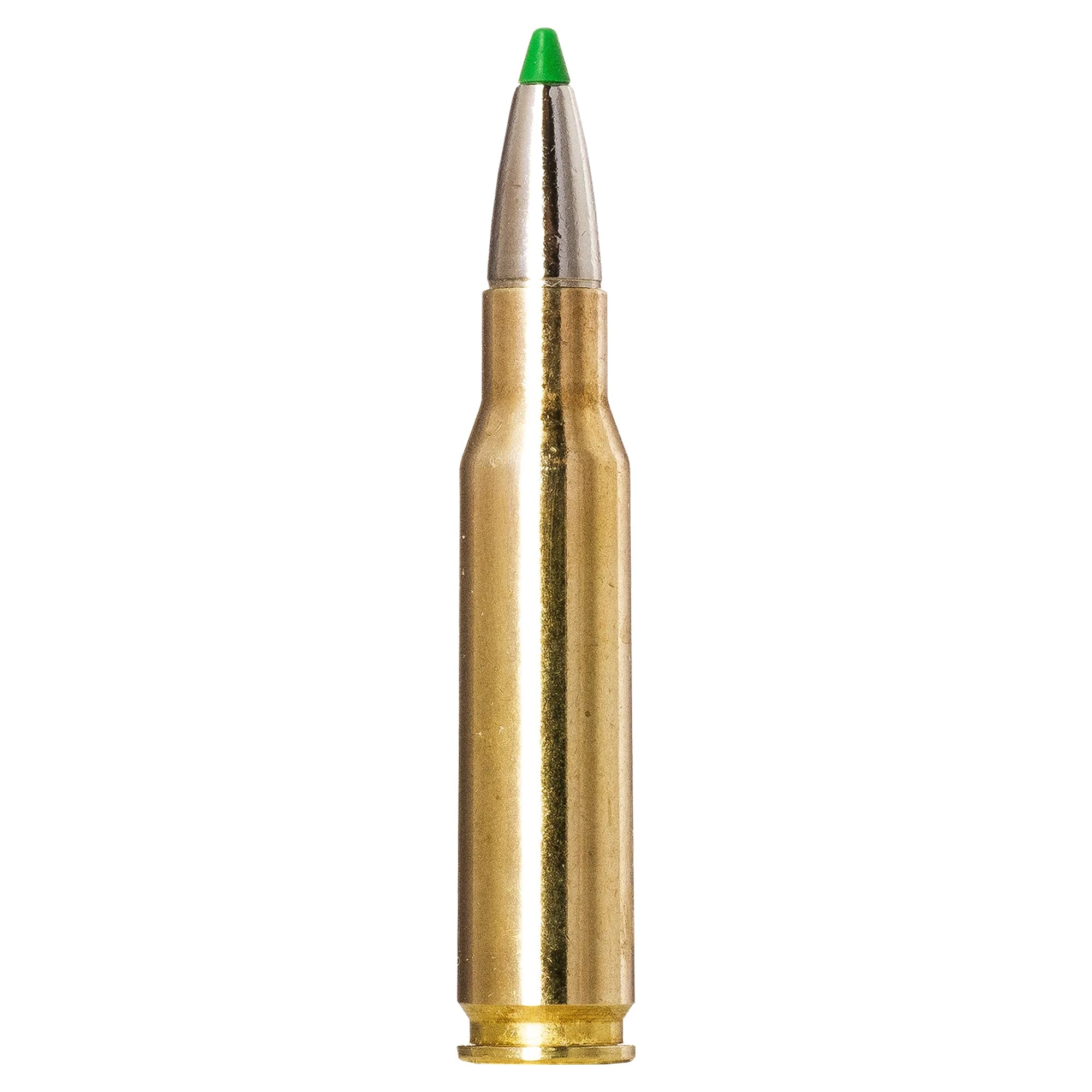 308 Win 165gr Ecostrike