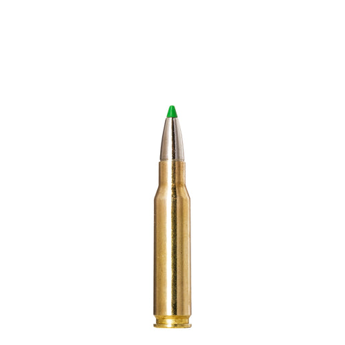 308 Win 165gr Ecostrike