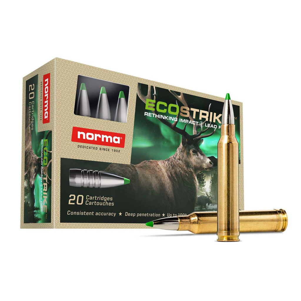300 Win Mag 165gr Ecostrike
